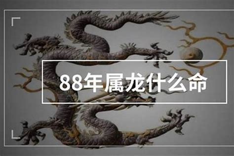 1988年属龙是什么命